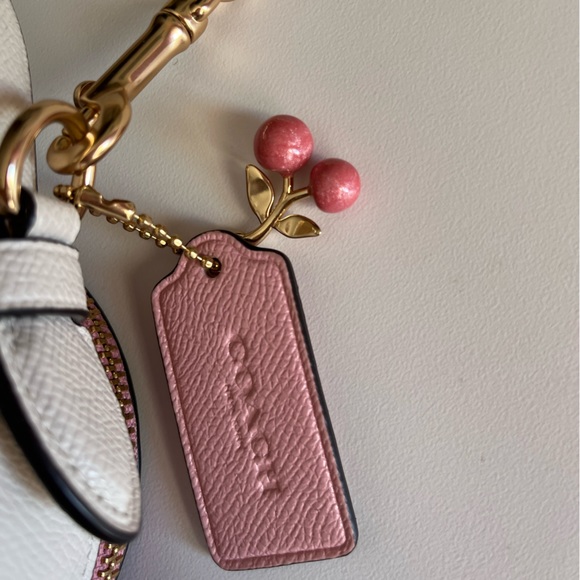 COACH Heart Shaped Crossbody in Signature Canvas with Heart Cherry Print - Picture 4 of 12